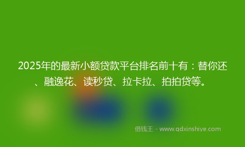 2025年的最新小额贷款平台排名前十有：替你还、融逸花、读秒贷、拉卡拉、拍拍贷等。
