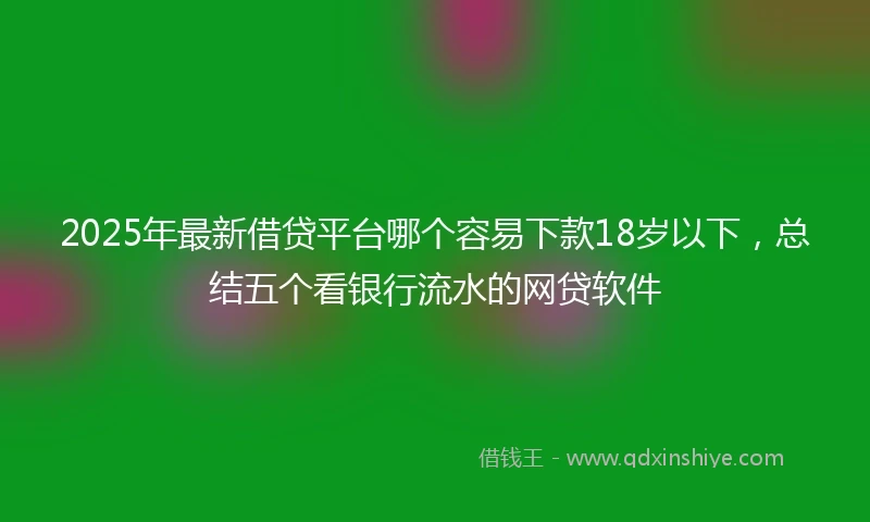 2025年最新借贷平台哪个容易下款18岁以下，总结五个看银行流水的网贷软件