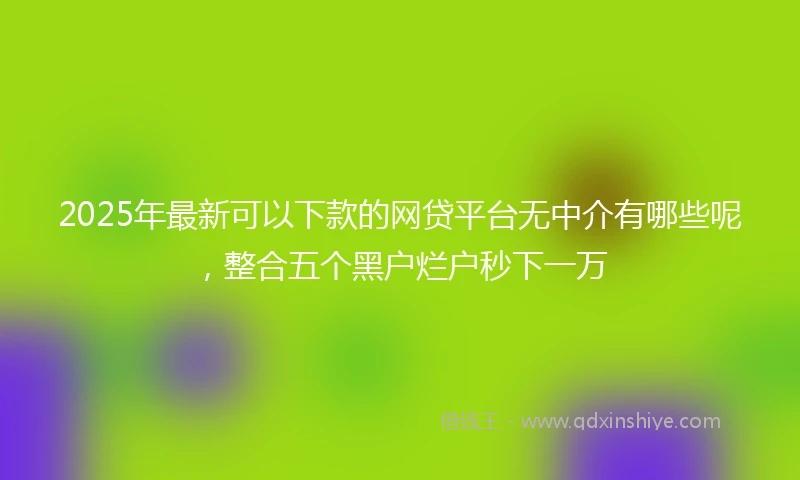 2025年最新可以下款的网贷平台无中介有哪些呢，整合五个黑户烂户秒下一万