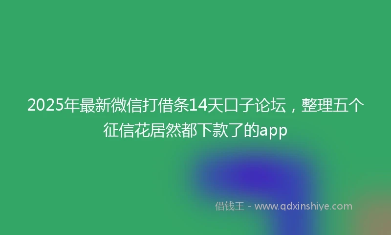 2025年最新微信打借条14天口子论坛，整理五个征信花居然都下款了的app