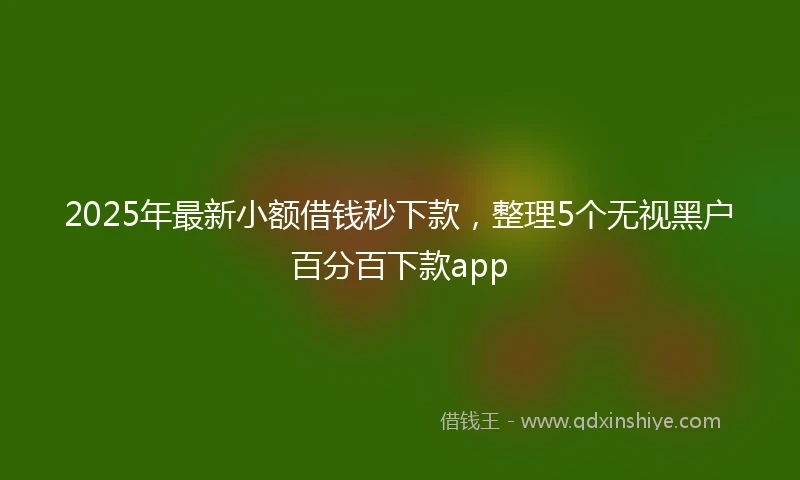 2025年最新小额借钱秒下款，整理5个无视黑户百分百下款app