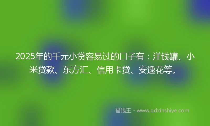 2025年的千元小贷容易过的口子有：洋钱罐、小米贷款、东方汇、信用卡贷、安逸花等。