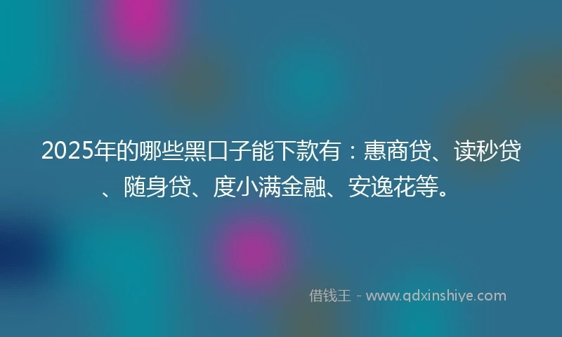 2025年的哪些黑口子能下款有：惠商贷、读秒贷、随身贷、度小满金融、安逸花等。