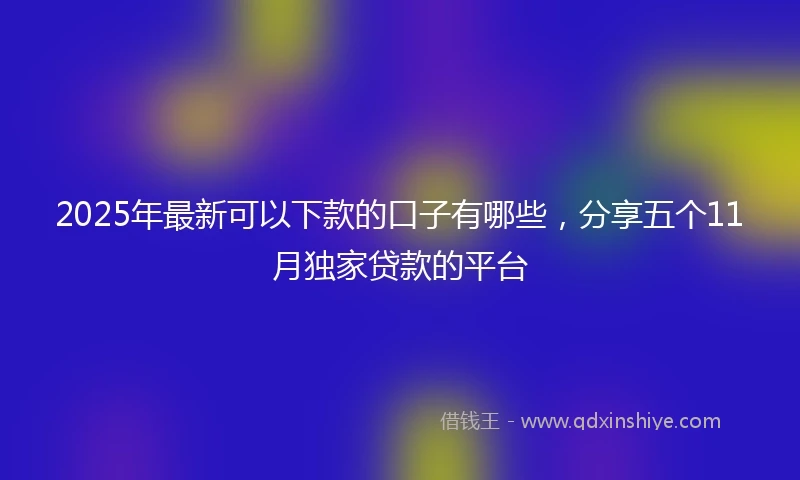 2025年最新可以下款的口子有哪些，分享五个11月独家贷款的平台