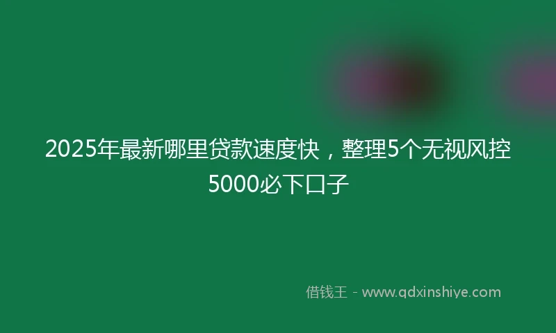 2025年最新哪里贷款速度快，整理5个无视风控5000必下口子