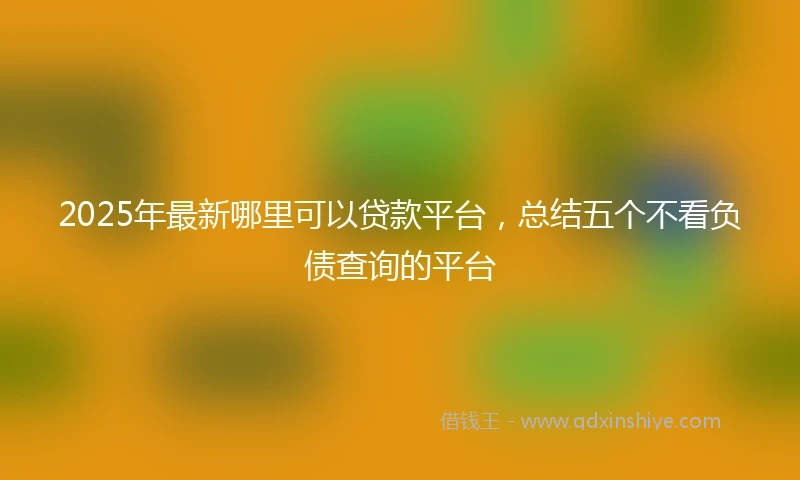 2025年最新哪里可以贷款平台，总结五个不看负债查询的平台