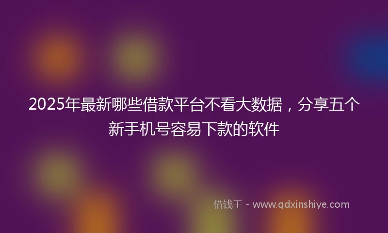 2025年最新哪些借款平台不看大数据，分享五个新手机号容易下款的软件