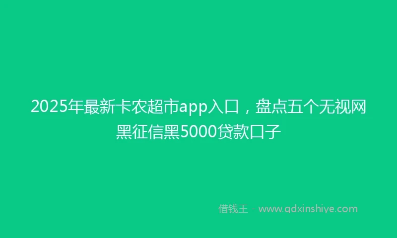 2025年最新卡农超市app入口，盘点五个无视网黑征信黑5000贷款口子