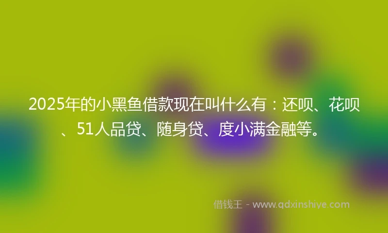 2025年的小黑鱼借款现在叫什么有：还呗、花呗、51人品贷、随身贷、度小满金融等。