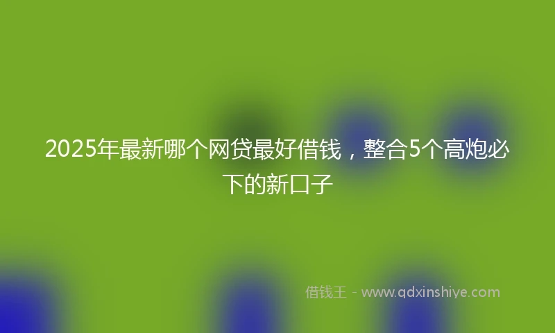 2025年最新哪个网贷最好借钱，整合5个高炮必下的新口子