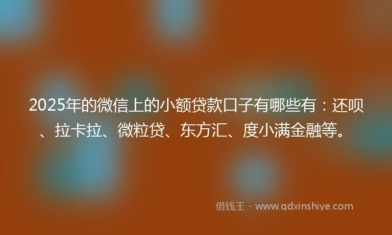 2025年的微信上的小额贷款口子有哪些有：还呗、拉卡拉、微粒贷、东方汇、度小满金融等。