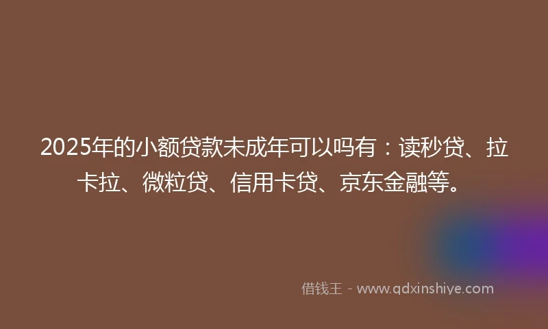 2025年的小额贷款未成年可以吗有：读秒贷、拉卡拉、微粒贷、信用卡贷、京东金融等。