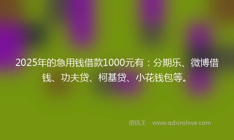 2025年的急用钱借款1000元有：分期乐、微博借钱、功夫贷、柯基贷、小花钱包等。
