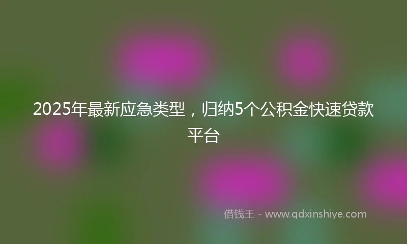 2025年最新应急类型，归纳5个公积金快速贷款平台