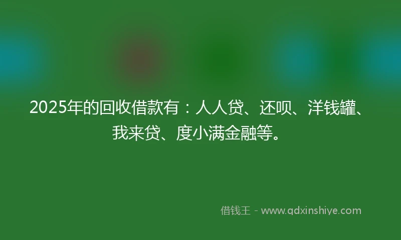 2025年的回收借款有：人人贷、还呗、洋钱罐、我来贷、度小满金融等。