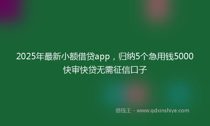 2025年最新小额借贷app，归纳5个急用钱5000快审快贷无需征信口子