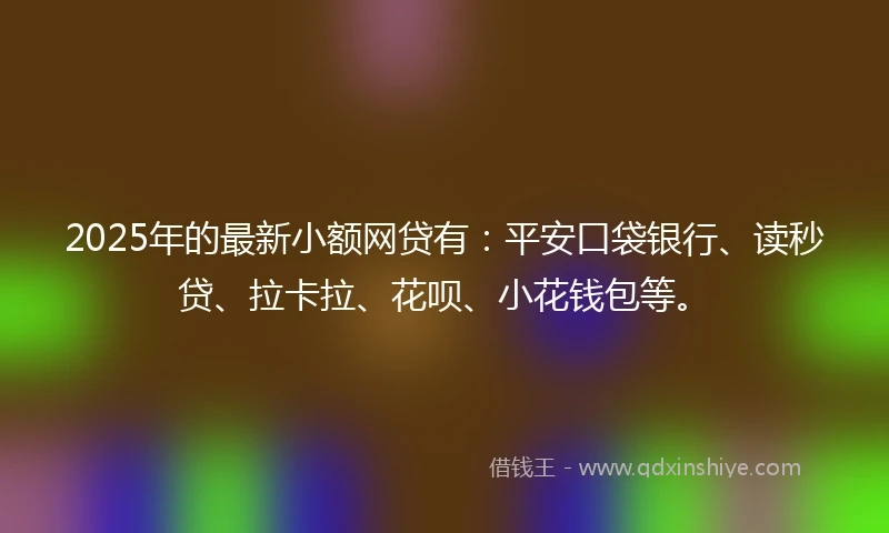 2025年的最新小额网贷有：平安口袋银行、读秒贷、拉卡拉、花呗、小花钱包等。