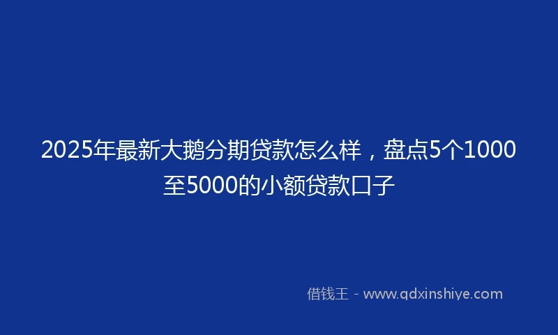 2025年最新大鹅分期贷款怎么样，盘点5个1000至5000的小额贷款口子