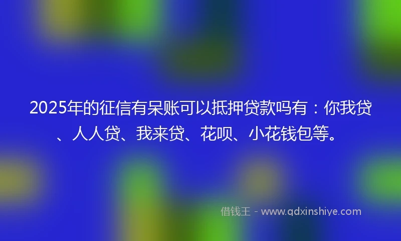 2025年的征信有呆账可以抵押贷款吗有：你我贷、人人贷、我来贷、花呗、小花钱包等。