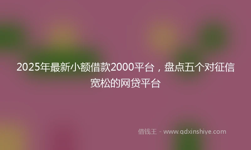 2025年最新小额借款2000平台，盘点五个对征信宽松的网贷平台