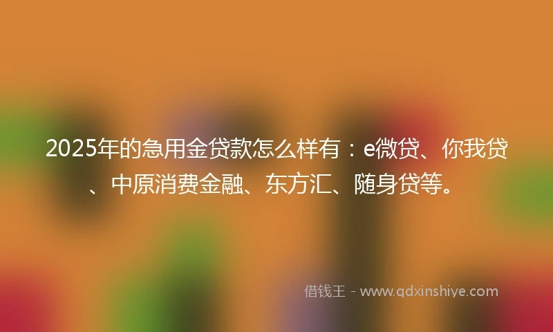 2025年的急用金贷款怎么样有：e微贷、你我贷、中原消费金融、东方汇、随身贷等。