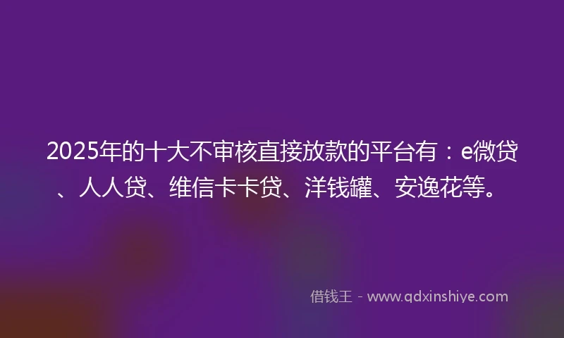 2025年的十大不审核直接放款的平台有：e微贷、人人贷、维信卡卡贷、洋钱罐、安逸花等。