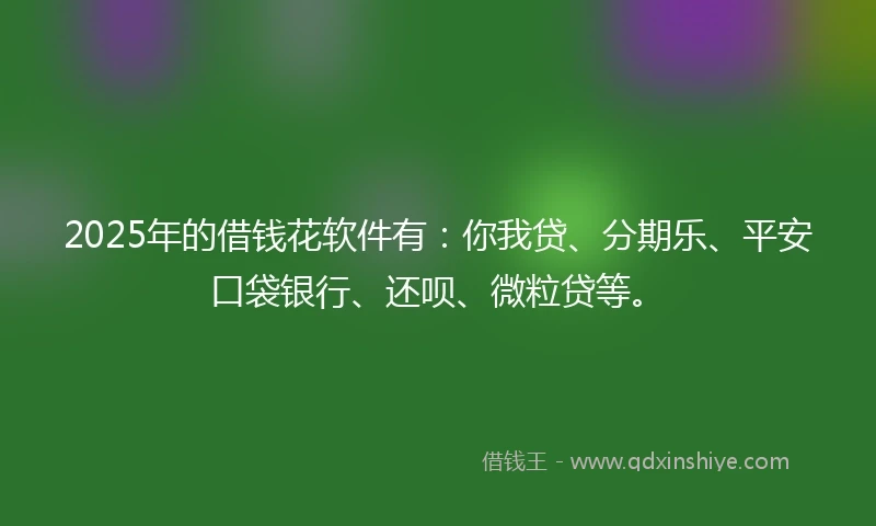 2025年的借钱花软件有：你我贷、分期乐、平安口袋银行、还呗、微粒贷等。