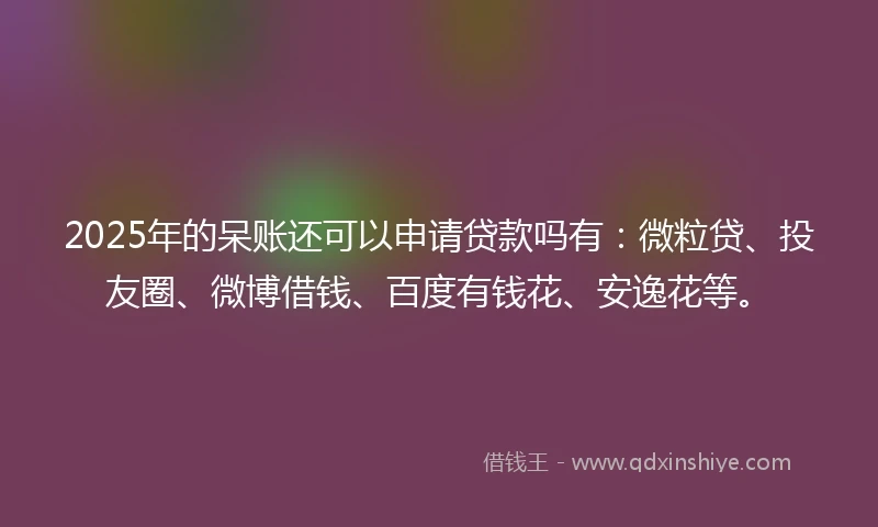 2025年的呆账还可以申请贷款吗有：微粒贷、投友圈、微博借钱、百度有钱花、安逸花等。