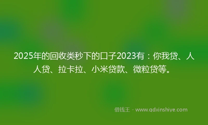 2025年的回收类秒下的口子2023有：你我贷、人人贷、拉卡拉、小米贷款、微粒贷等。
