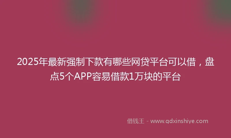 2025年最新强制下款有哪些网贷平台可以借，盘点5个APP容易借款1万块的平台