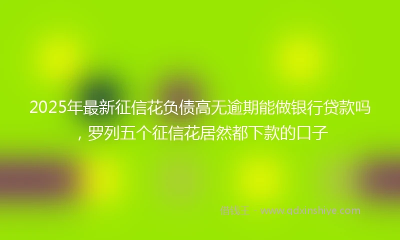 2025年最新征信花负债高无逾期能做银行贷款吗，罗列五个征信花居然都下款的口子