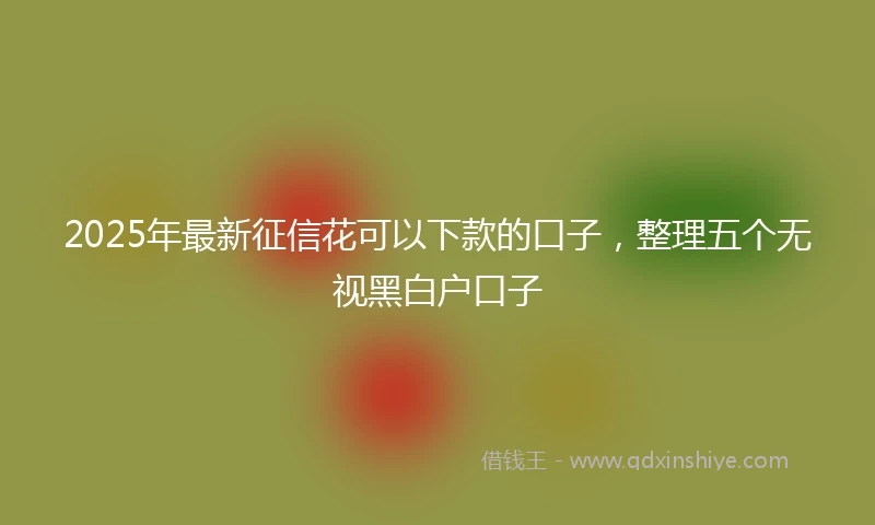 2025年最新征信花可以下款的口子，整理五个无视黑白户口子