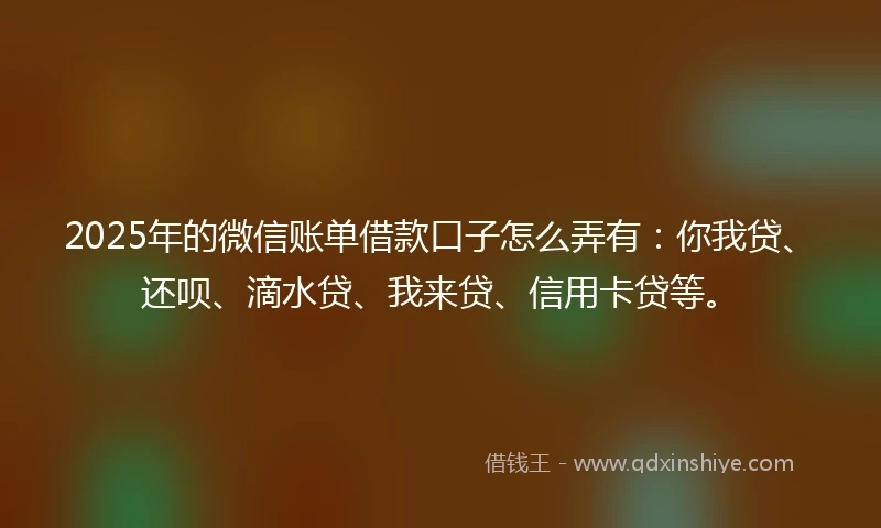 2025年的微信账单借款口子怎么弄有：你我贷、还呗、滴水贷、我来贷、信用卡贷等。