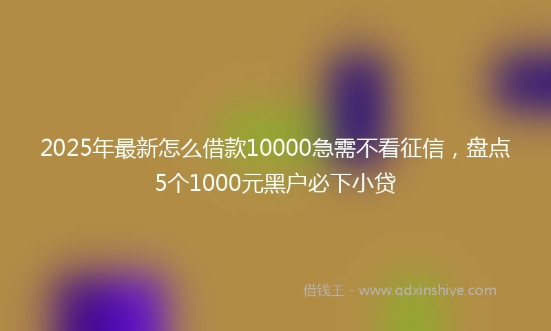 2025年最新怎么借款10000急需不看征信，盘点5个1000元黑户必下小贷