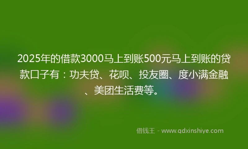 2025年的借款3000马上到账500元马上到账的贷款口子有：功夫贷、花呗、投友圈、度小满金融、美团生活费等。