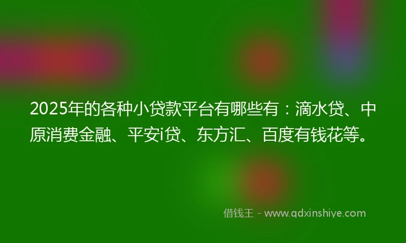 2025年的各种小贷款平台有哪些有：滴水贷、中原消费金融、平安i贷、东方汇、百度有钱花等。