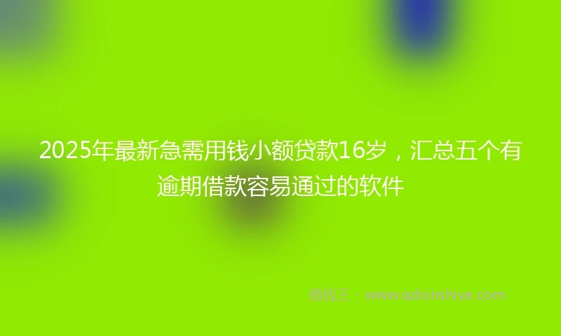 2025年最新急需用钱小额贷款16岁，汇总五个有逾期借款容易通过的软件