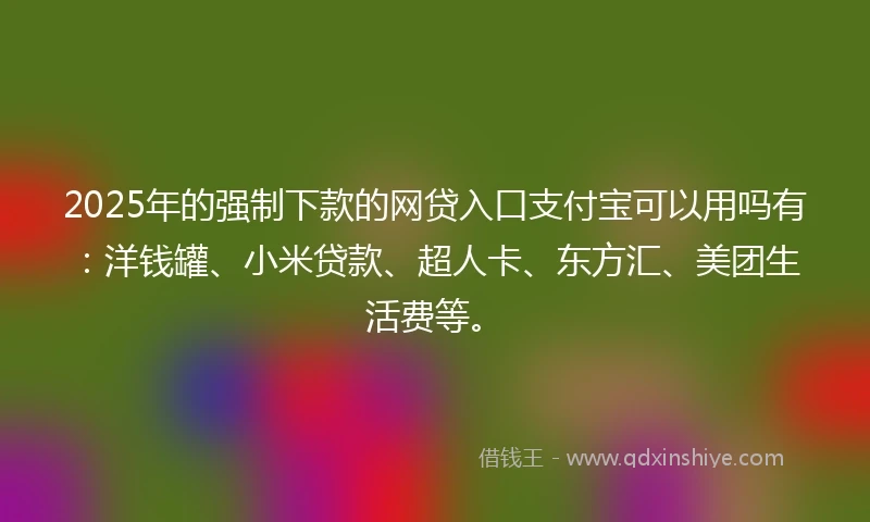2025年的强制下款的网贷入口支付宝可以用吗有：洋钱罐、小米贷款、超人卡、东方汇、美团生活费等。