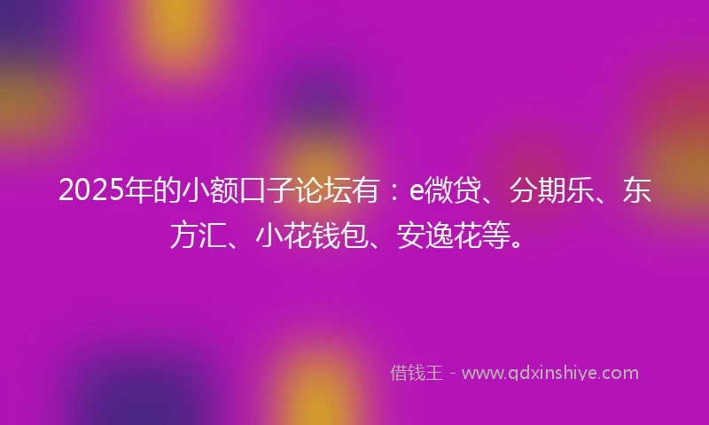 2025年的小额口子论坛有：e微贷、分期乐、东方汇、小花钱包、安逸花等。