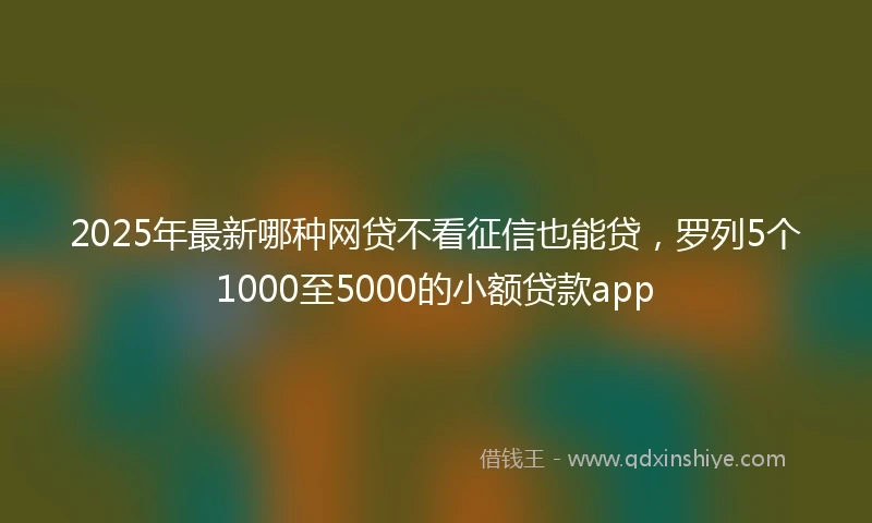 2025年最新哪种网贷不看征信也能贷，罗列5个1000至5000的小额贷款app