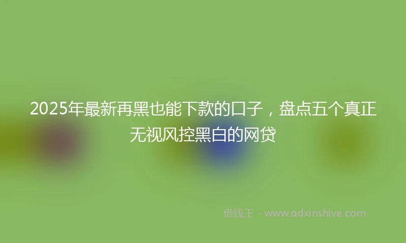 2025年最新再黑也能下款的口子，盘点五个真正无视风控黑白的网贷