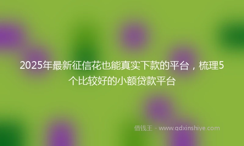 2025年最新征信花也能真实下款的平台，梳理5个比较好的小额贷款平台