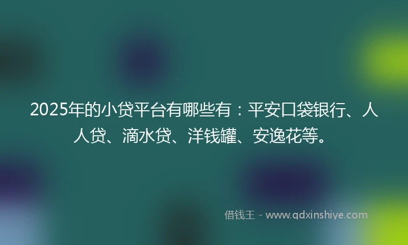 2025年的小贷平台有哪些有：平安口袋银行、人人贷、滴水贷、洋钱罐、安逸花等。