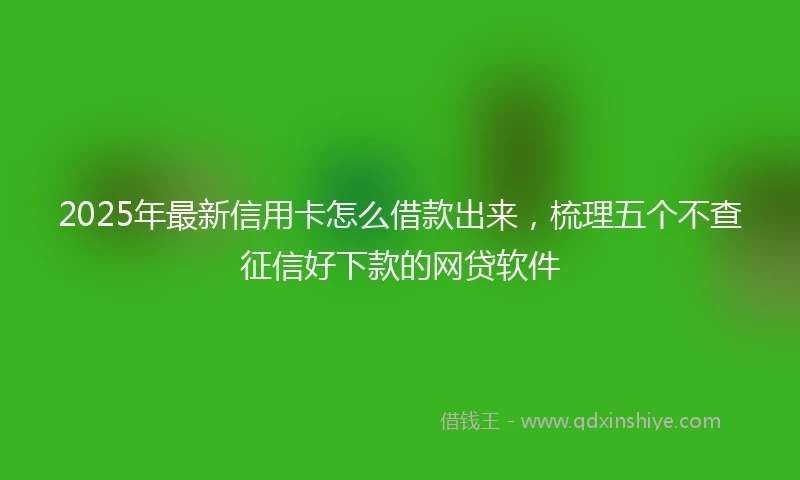 2025年最新信用卡怎么借款出来，梳理五个不查征信好下款的网贷软件