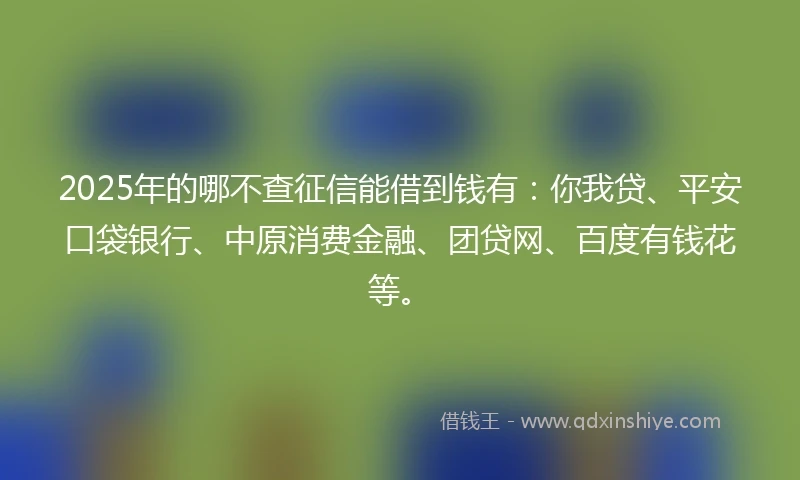 2025年的哪不查征信能借到钱有：你我贷、平安口袋银行、中原消费金融、团贷网、百度有钱花等。