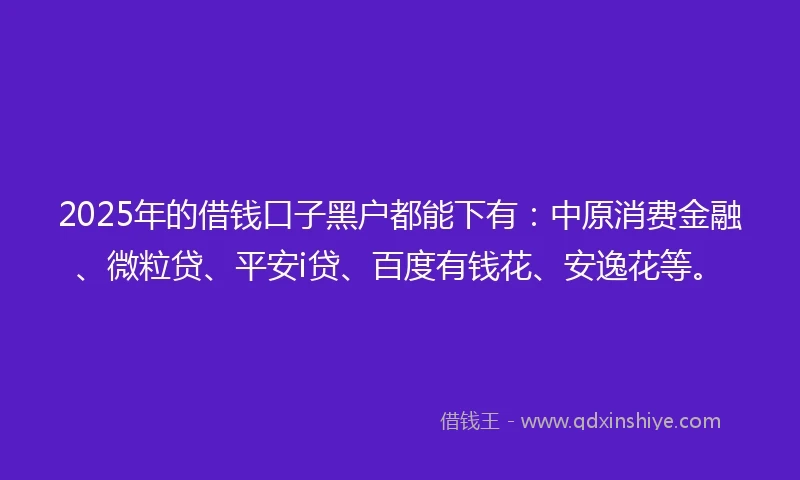2025年的借钱口子黑户都能下有：中原消费金融、微粒贷、平安i贷、百度有钱花、安逸花等。