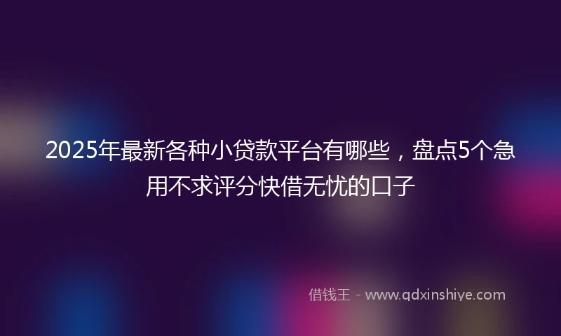 2025年最新各种小贷款平台有哪些，盘点5个急用不求评分快借无忧的口子