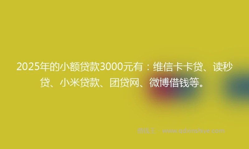2025年的小额贷款3000元有：维信卡卡贷、读秒贷、小米贷款、团贷网、微博借钱等。