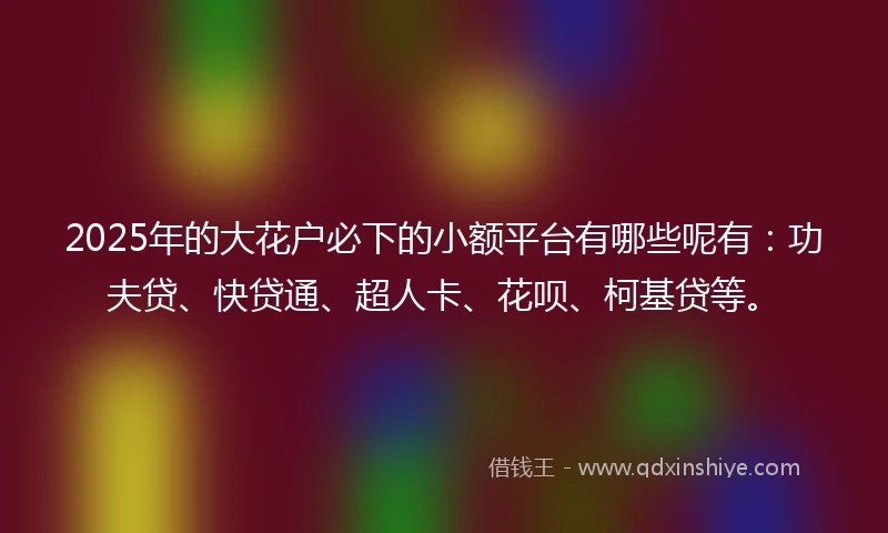 2025年的大花户必下的小额平台有哪些呢有：功夫贷、快贷通、超人卡、花呗、柯基贷等。
