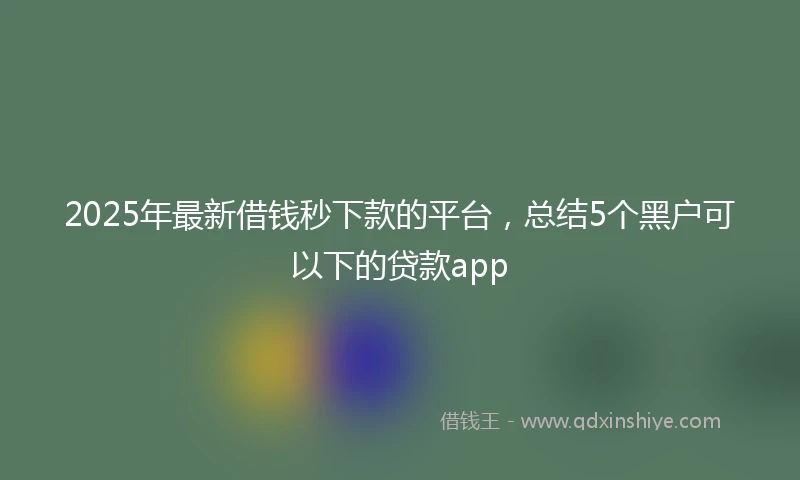 2025年最新借钱秒下款的平台，总结5个黑户可以下的贷款app